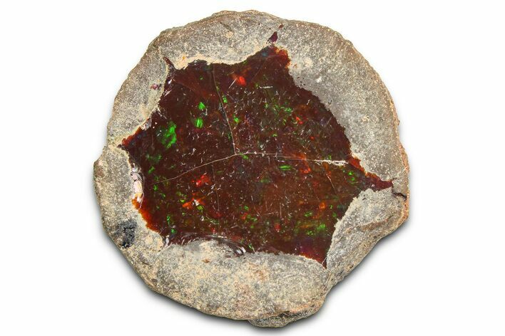Ethiopian Chocolate Opal Nodule - Yita Ridge #369089